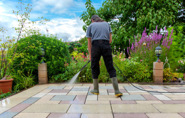Best Driveway Pressure Washing  in Morrow, GA